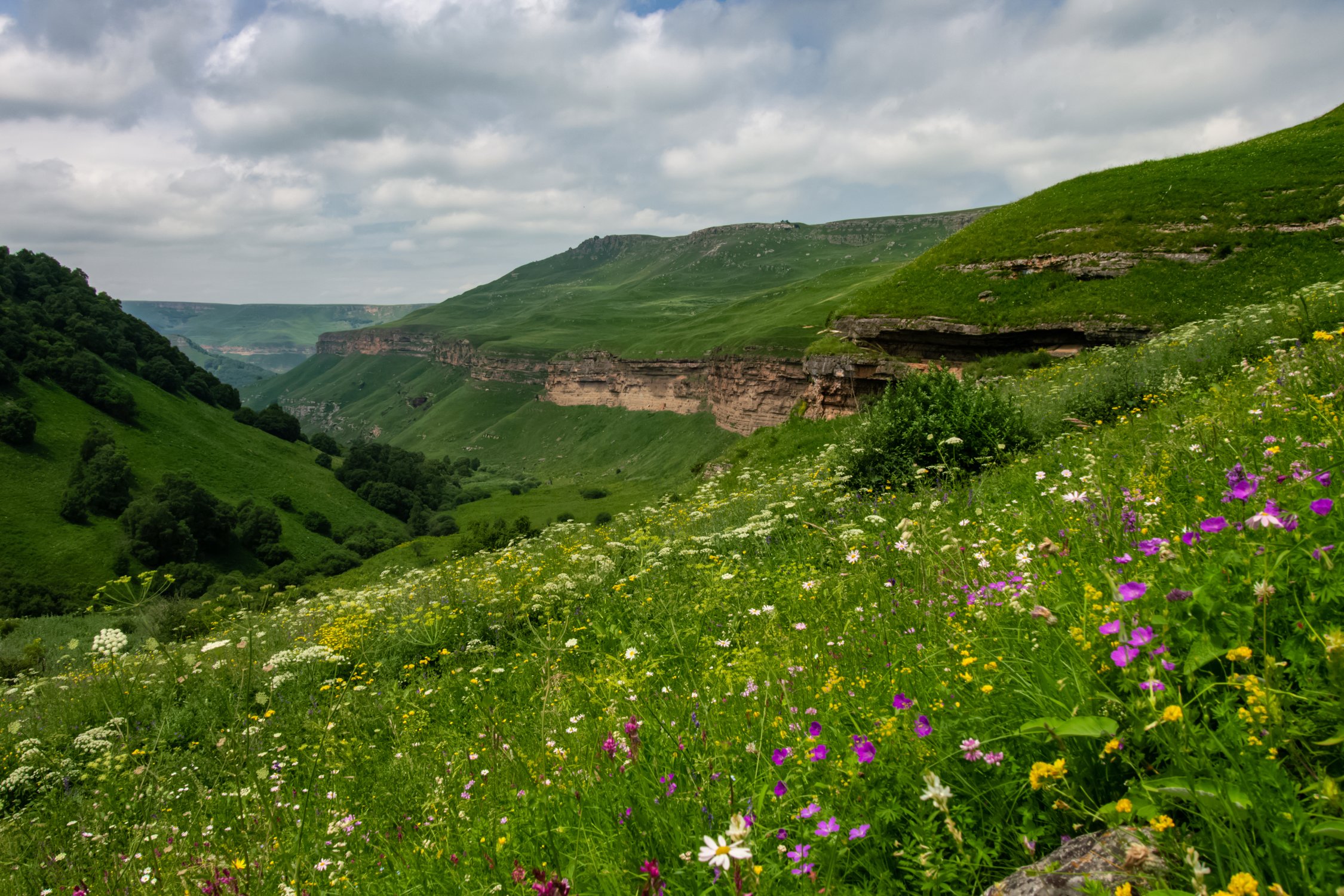Гришкина балка